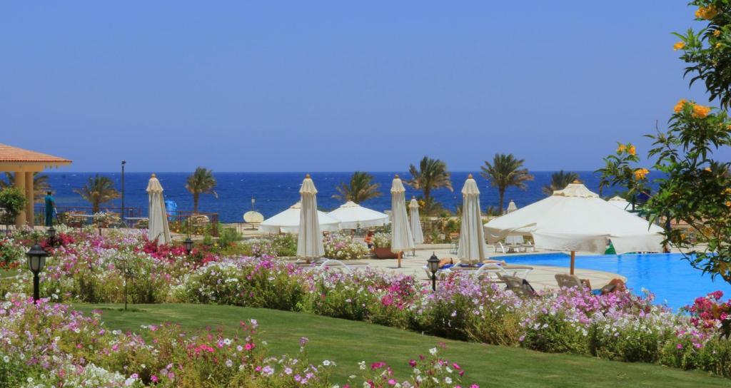 Royal Brayka Beach Resort Abu Dabbab Dış mekan fotoğraf